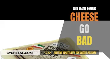 Romano Cheese: How Long Does It Last?