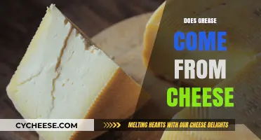 Does Grease Come From Cheese? Unraveling the Dairy Myth