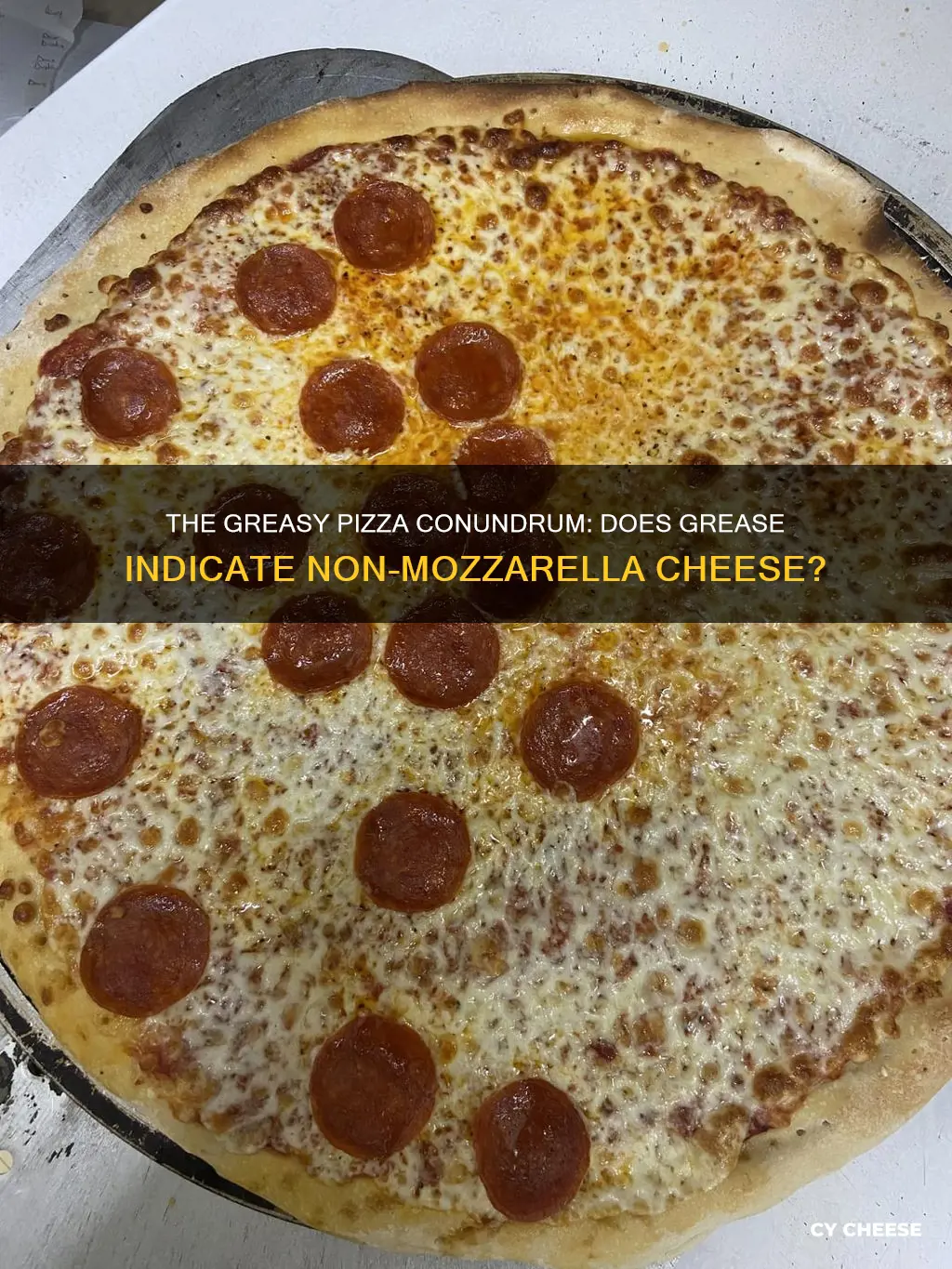 does greasy pizza mean the cheese isnt mozzarella