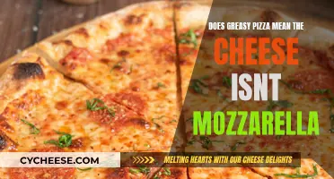 Why Greasy Pizza May Not Be Mozzarella Cheese