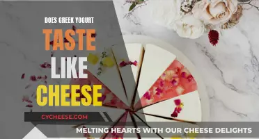 Greek Yogurt and Cheese: Similar or Distinct Flavors?
