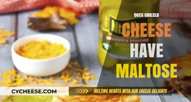 Does Grilled Cheese Contain Maltose? Unraveling the Ingredients