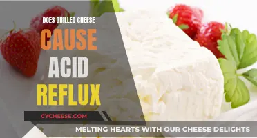 Grilled Cheese and Acid Reflux: A Painful Combination?
