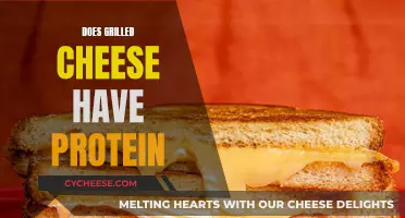 Grilled Cheese: A Surprising Source of Protein?