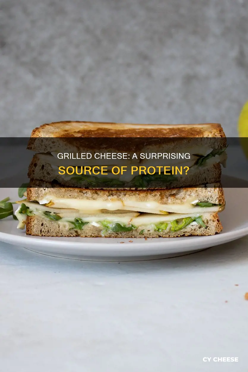 does grilled cheese have protein