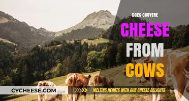 Does Gruyere Cheese Come From Cows? Unraveling the Dairy Mystery