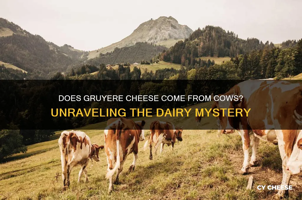 does gruyere cheese from cows