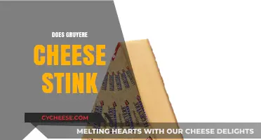 Does Gruyere Cheese Stink? Unraveling the Truth About Its Aroma