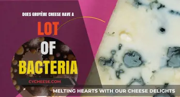 Gruyère Cheese: Unveiling Its Bacterial Content and Health Implications