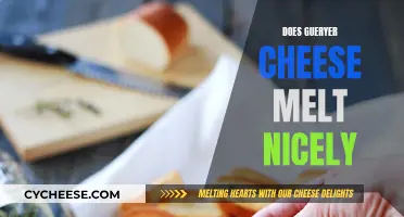 The Gooey Truth: Gruyère's Melting Magic