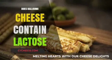 Does Halloumi Cheese Contain Lactose? A Comprehensive Guide
