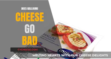 Halloumi Cheese: How Long Does it Last?