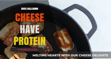 Halloumi Cheese Protein Content: Nutritional Benefits and Facts Revealed
