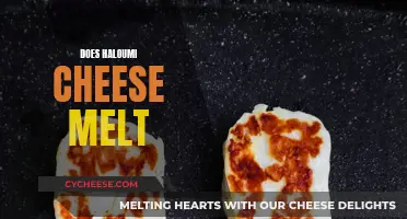 The Haloumi Cheese Melt Mystery: Does it Work?