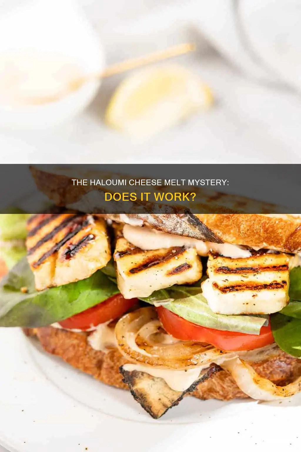 does haloumi cheese melt