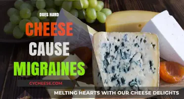 Hard Cheese and Migraines: Unraveling the Potential Trigger Connection