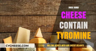 Does Hard Cheese Contain Tyramine? Unraveling the Truth for Your Diet