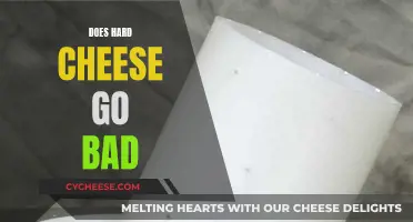 Cheese Storage: Hard Cheese and Expiry Dates