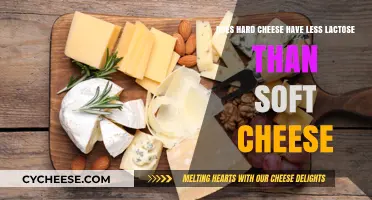 Hard vs. Soft Cheese: Which Has Less Lactose for Sensitive Stomachs?