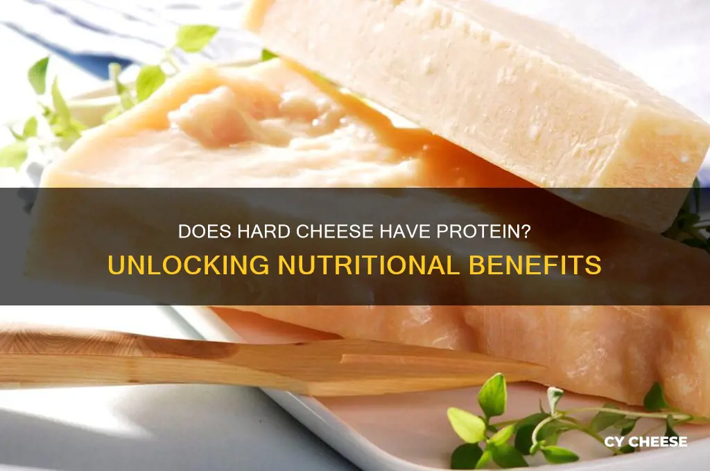 does hard cheese have protein