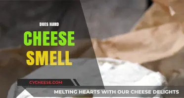 Does Hard Cheese Smell? Uncovering the Truth About Its Aroma