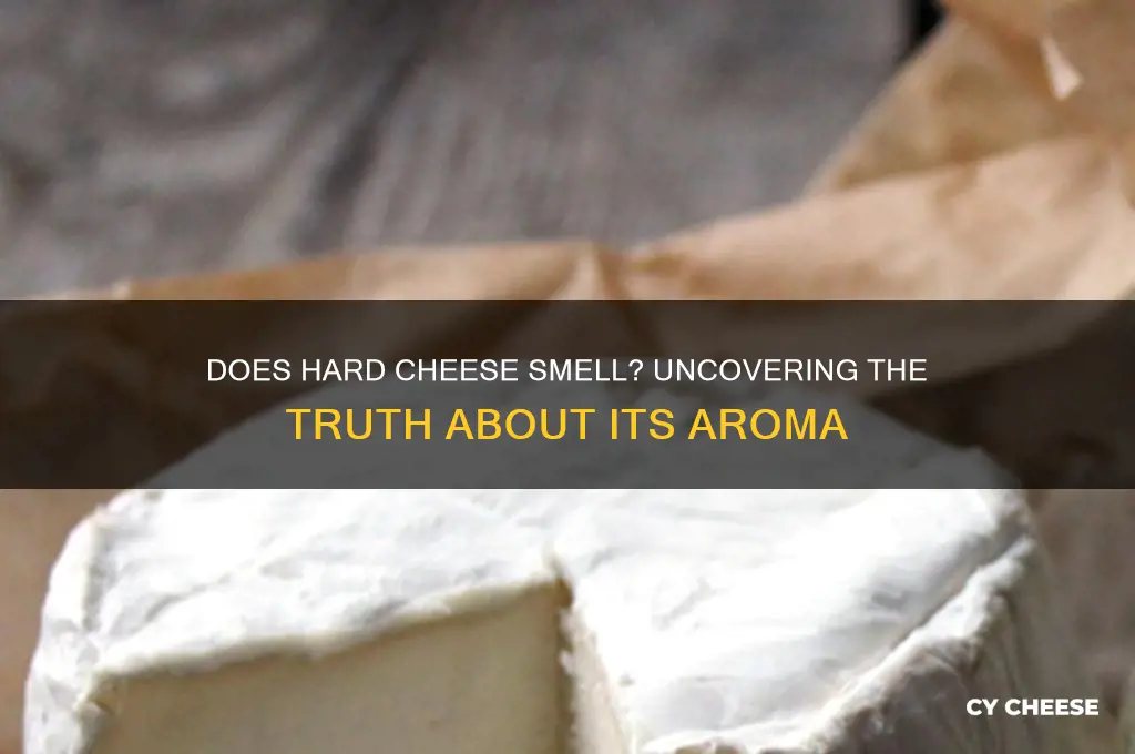 does hard cheese smell