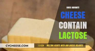 Does Havarti Cheese Contain Lactose? A Comprehensive Guide