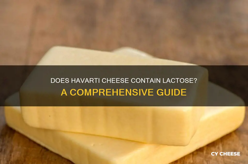 does havarti cheese contain lactose