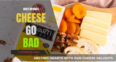Havarti Cheese: How Long Does it Last?