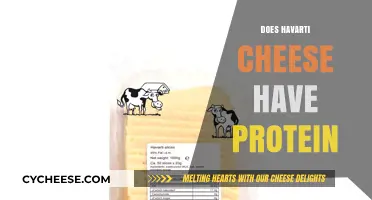 Havarti Cheese Protein Content: Nutritional Benefits and Facts Revealed