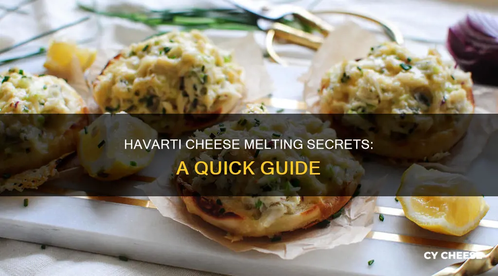 does havarti cheese melt