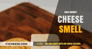 Does Havarti Cheese Smell? Exploring Its Aroma and Characteristics