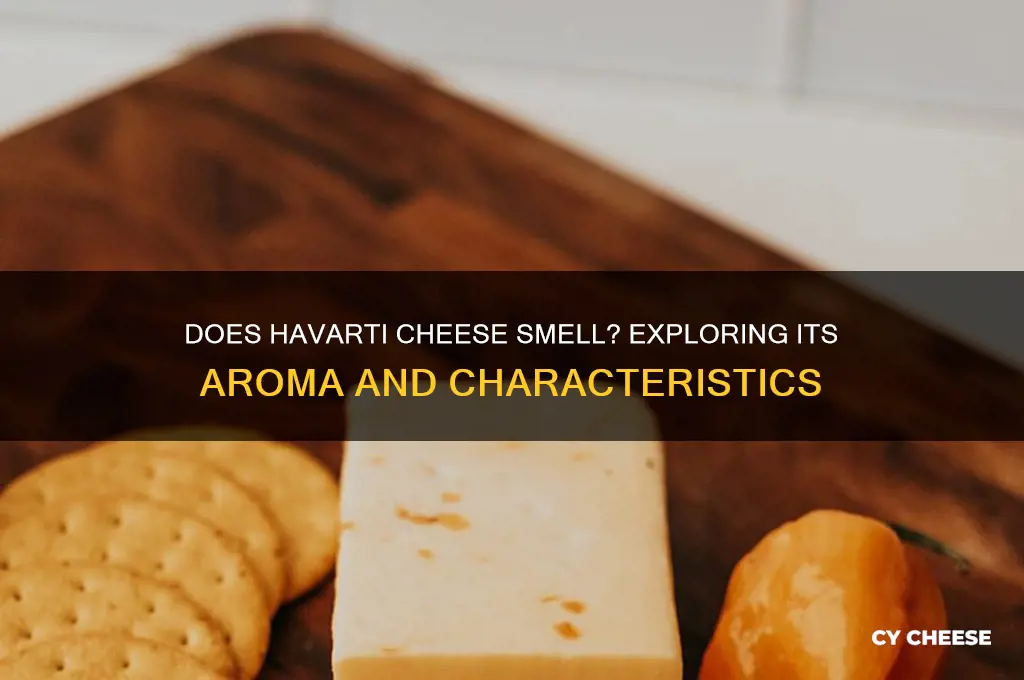 does havarti cheese smell