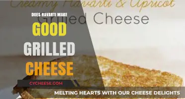 Havarti Grilled Cheese: The Ultimate Comfort Food?