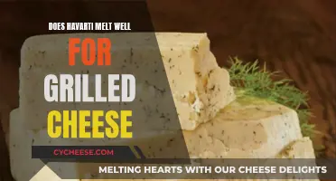 Havarti Grilled Cheese: Melting and Taste Perfection