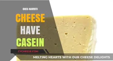 Does Havarti Cheese Contain Casein? A Comprehensive Guide for Cheese Lovers