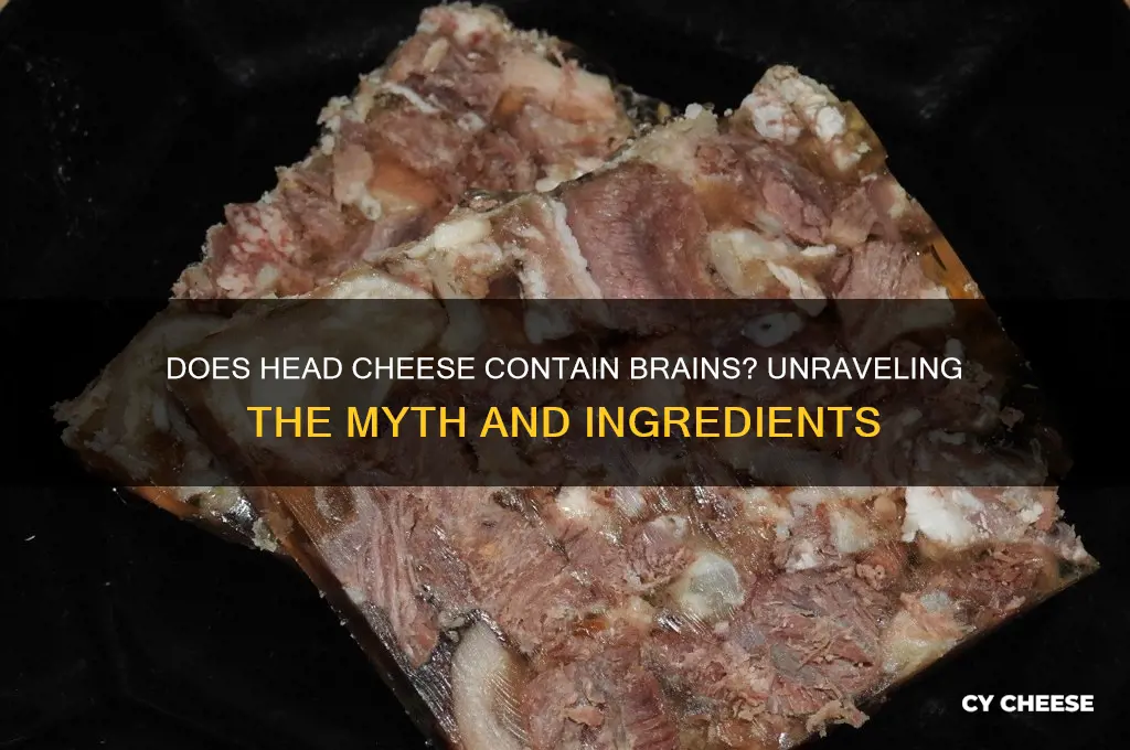 does head cheese contain brains