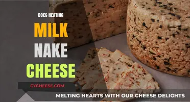 Heating Milk to Make Cheese: The Simple Science Behind It