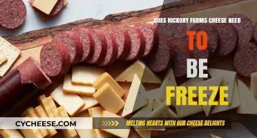 Should You Freeze Hickory Farms Cheese? Storage Tips Revealed