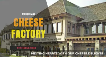Exploring Hilmar Cheese Factory: Quality, Process, and Sustainability Revealed