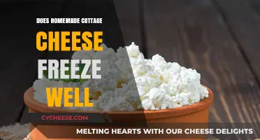 Can You Freeze Homemade Cottage Cheese? Tips and Tricks Revealed