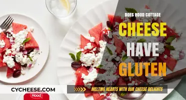 Is Hood Cottage Cheese Gluten-Free? A Complete Guide for Dieters