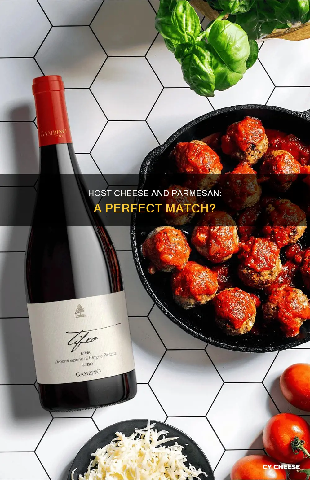 does host cheese go well with parmesan