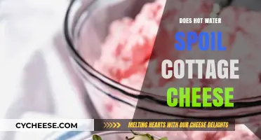 Can Hot Water Spoil Cottage Cheese? Facts and Myths Explained
