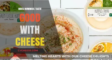 Hummus and Cheese: A Match Made in Heaven?