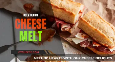 Iberico Cheese Melting: The Art of Perfect Melting