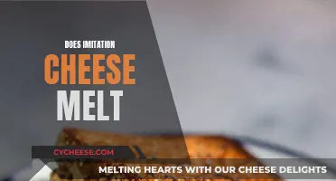 Imitation Cheese: Melting Mystery Solved