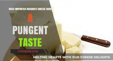 Imported Havarti Cheese: Exploring Its Pungent Taste and Flavor Profile