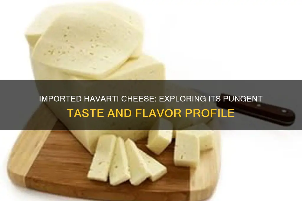 does imported havarati cheese have a pungent taste