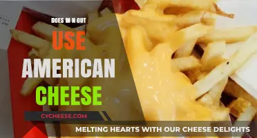In-N-Out's American Cheese: What's the Deal?